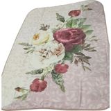 Padişah Tek Kişilik Vizon Battaniyesi MDL02 - 155 x 215 cm - Pudra