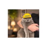 PAİPLAYSHOP Evcil Hayvan İçin Modern Kedi Şapkası - Giyilebilir Kedi Şapkası
