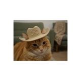 PAİPLAYSHOP Kovboy Kedi Şapkası - Kedi Şapkası