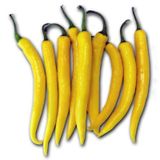 Paket Golden Acı Cayenne Biber Tohumu 145 Tohum + Toi