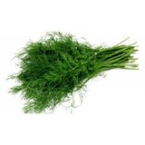 Paket Sebze Dere Otu Tohum 1400 Tohum + Spriz Tohum