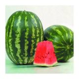 Paket Tam 5 Farklı Çeşit Karpuz Tohumu+ Hewdiye Tohum
