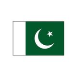 Pakistan Bayrağı (30x45 cm)