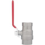 Pakkens 1 1/2" Küresel Vana Dişi / Dişi
