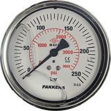 Pakkens Çap 100 Pano Tip Gliserinli Manometre - Pakkens - 250 BAR