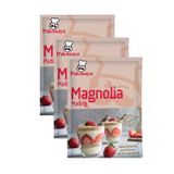 Pakmaya Magnolia (Magnolya) Puding 125 gr x 3 Adet