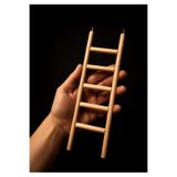 Paks Pet Ahşap Kuş Merdiveni 25x8 cm – 5 Basamaklı Kancalı Kafes Merdiveni – Muhabbet Kuşu, Sultan Papağanı ve Paraketler İçin
