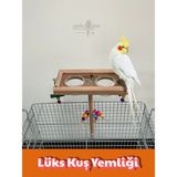 Paks Pet Ahşap Kuş Yemliği Kafes Üstü Sultan Papağanı ve Muhabbet Kuşu İçin Lüks Tasarım