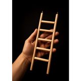 Paks Pet Doğal Ahşap Kuş Merdiveni 25x8 cm – 5 Basamaklı Kancalı Kafes Merdiveni – Muhabbet Kuşu, Sultan Papağanı ve Paraketler Için