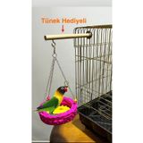 Paks Pet Örgü Kuş Hamağı (Pembe)Tünek Hediyeli Kuş Salıncağı Muhabbet kuşu ve Cennet Papağanı Salıncağı