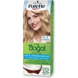 Palette 10-4 Papatya Kalıcı Doğal Renkler Krem Formda Argan Yağı ile Yoğun Saç Bakımı