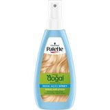 Palette 4 Adet Kalıcı Doğal Renkler Renk Açıcı Sprey