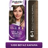 Palette 6-1 Küllü Koyu Kumral Saç Boyası