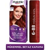 Palette Colors 6/88 Yoğun Kızıl Saç Boyası