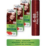 Palette Doğal Renkler 6-88 Ateş Kızılı 3 Adet Saç Boyası