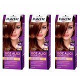 Palette Göz Alıcı Renkler 5-68 Kestane 3 Paket Saç Boyası