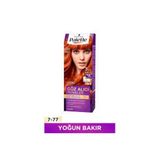 Palette Göz Alıcı Renkler 7-77 Yoğun Bakır Yoğun Bakır