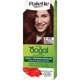 Palette Kalıcı Doğal Renkler 3-68 Kızıl Çikolata Rengi Saç Boyası