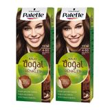 Palette Kalıcı Doğal Renkler 4-60 Altın Kahve 2'li Saç Boyası