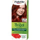 Palette Kalıcı Doğal Renkler Saç Boyası 6-88 Ateş Kızılı Saç Boyası - Standart