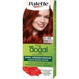 Palette Kalıcı Doğal Renkler Saç Boyası 6-88 Ateş Kızılı Saç Boyası