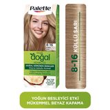 Palette Kalıcı Doğal Renkler Saç Boyası 8-16 Küllü Sarı Saç Boyası