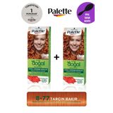 Palette Kalıcı Doğal Renkler Saç Boyası 8-77 Tarçın Bakır + Gliss Tarak