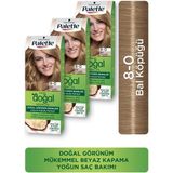 Palette Kalıcı Doğal Renkler Saç Boyası Bal Köpüğü Renk 3 Adet Argan Yağı İle Zenginleştirilmiş