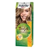 Palette Natural 8-0 Bal Köpüğü 3 Adet Saç Boyası