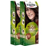 Palette Natural Colors 4.00 Amber Kahve x 2 Adet Saç Boyası
