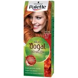 Palette Natural Colors 8-77 Tarçın Bakır 2 Adet Saç Boyası