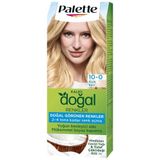 Palette Naturel 10.0 Açık Papatya Saç Boyası