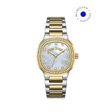 Palm Angels Pmwlg0001802 Nova Rengi Metalik Gri Çelik Kadın Kol Saati - Altın