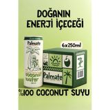 PALMATE %100 Coconut Suyu Hindistan Cevizi Suyu 6x250 ML