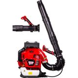 Palmera 985-A Euro 5 Üfleme Makinesi Sırt Tipi 5 Hp