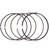 Palmera Dm460219 Çim Biçme Makinesi Segman Takımı
