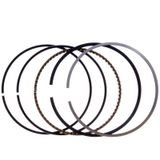 Palmera Dm510209 Çim Biçme Makinesi Segman Takımı