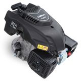 Palmera DV196-L 6,5 HP Çim Biçme Makinesi