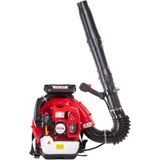 Palmera Eb 985 Benzinli Yaprak Üfleme Makinesi 5 Hp Güçlü Emiş Gücü ile Etkili Temizlik