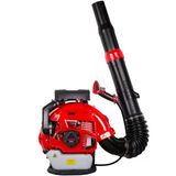 Palmera Eb-995 Euro 5 Benzinli Üfleme Makinesi Sırt Tipi 5.6Hp