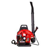 Palmera Eb926a Eur5 Üfleme Makinesi Sırt Tipi