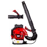 Palmera EB985A 5 Hp EUR5 Benzinli Üfleme Makinesi