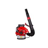 Palmera Eb995 Eur5 Sırt Tipi Yaprak Üfleme Makinesi 5.65 Hp