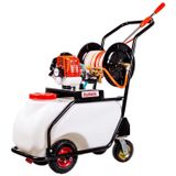 Palmera Pa-50Lt Eur5 Benzin Motorlu İlaçlama Tankı