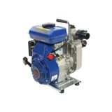 Palmera Pa15t Su Motoru 1,5 Luk 3 Hp Motorlu