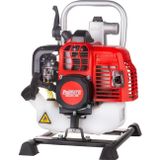 Palmera Plamera QGZ25-30E EUR5 Su Motoru 1" 2-Zamanlı