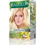 Palmira Demir Amonyaksız, Vegan, Doğal, Besleyici Kalıcı Saç BOYASI%100 Beyaz Kapama (1 Paket 2 x 50 ml Boya & Oksidan) (Sedef Sarısı 10.0)