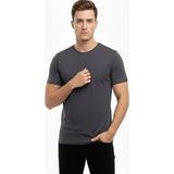 Palmira Demir Erkek T-Shirt Bisiklet Yaka Slim Fit Dar Kesim Likralı Tişört Günlük Basic Body - Füme - Füme / S