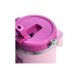 Palmira Demir Iceflow Flip Straw Tumbler Pipetli Termos Bardak, 0.89 Litre, Kiraz Çiçeği (Cherry Blossom) - 230 ml