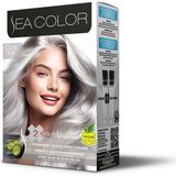 Palmira Demir Sea Set Saç Boyası 0.01 Füme Gri